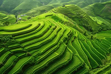 Selbstklebende Fototapeten Majestic Mountain Overlooking a Vibrant Green Field, Intricate patterns of a rice terrace farming from a high vantage point, AI Generated © Iftikhar alam