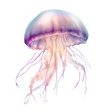 Illustration d'une Méduse - Style Aquarelle Réaliste - Fond Blanc - Généré par IA	
