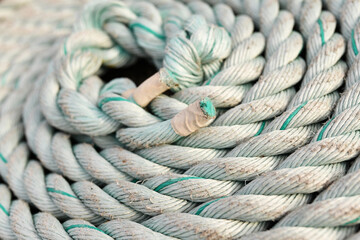 Fototapeta na wymiar Seilschnecke auf einem Schiffsanleger