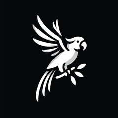 Black and White Macaw Vector Illustration