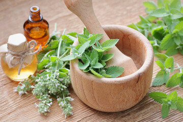 Lemon balm leaves in a mortar on wooden rustic table with fresh leaves and flowers nearby, copy...