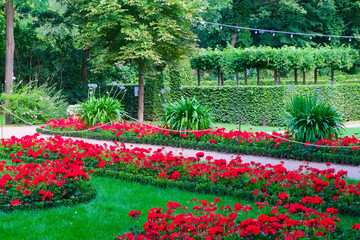 great landscape design in a fresh green garden park with red flowers