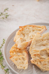 Grilled bread toasts on the plate with copy space