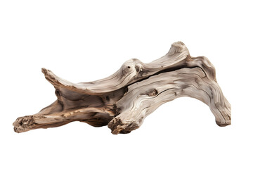 Natural Driftwood Piece Isolated on White Background
