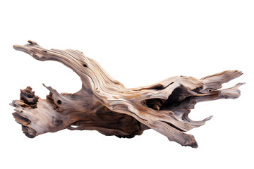 Isolated Driftwood Piece on White Background - Nature Photography
