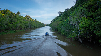 Aerial view of a speedboat navigating the flooded area (igapó) during the flooding of the Negro River in the Brazilian Amazon, in the Xiborena community, near the city of Manaus (AM).
