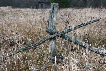 Fototapeta premium Late autumn. Among dry wild-growing plants there are remains of a rural wooden fence. The thrown house is seen in the distance among bushes.