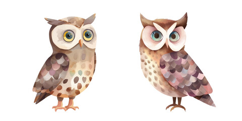 cute owl watercolour vector illustration
