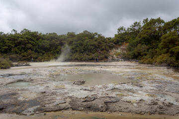 geyser in wai or tapu. New Zealand