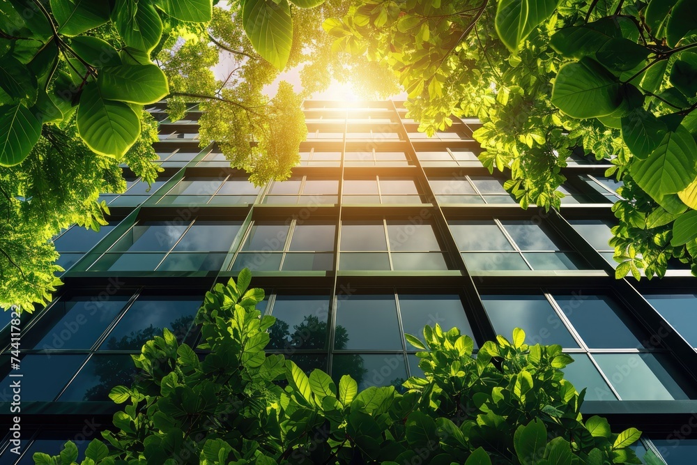 Poster the sun shines through the vibrant green leaves of a tree, creating a stunning display of light and 