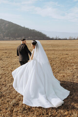 A wedding couple is walking in nature on an autumn day. Happy young bride and elegant groom holding hands. A stylish couple of newlyweds on their wedding day.