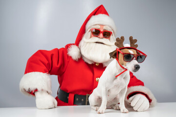 Portrait of santa claus in sunglasses and dog jack russell terrier in rudolf reindeer ears on a white background. 