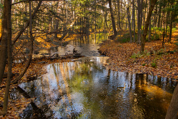 A stream in autumn.