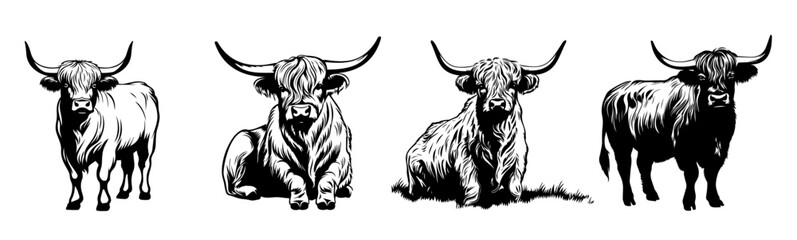 Set of Highland Cow Head Black Color Vector Illustration