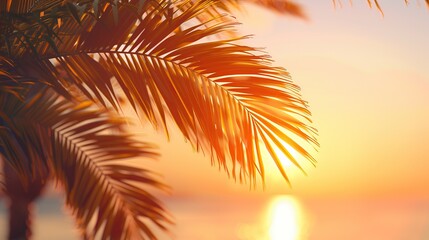 Fototapeta na wymiar Sunset on the beach. Palm leaves. Palm trees at tropical coast, coconut tree summer vacation concept