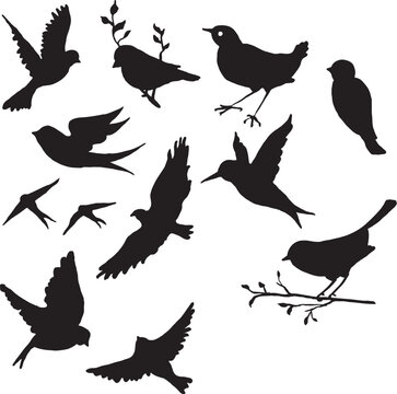 set of birds silhouettes