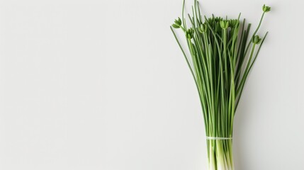 A vibrant bunch of fresh green onions add a touch of life to any indoor space with their crisp, garlic chive flavor
