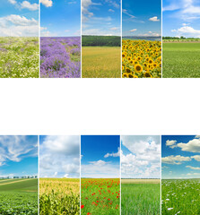 Agricultural fields and blue sky. Collage. There is free space for text.