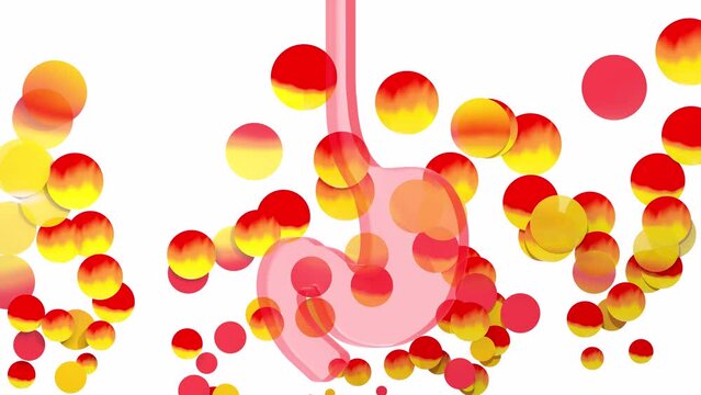 3d animation of stomach surrounded by circles of fire. Moving in the air floating. Burning and reflux. Human digestive system on white background.