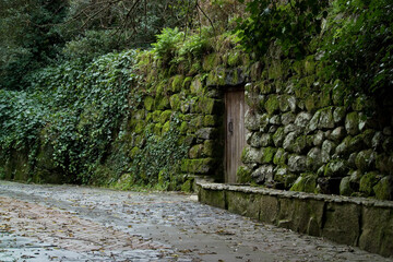 old stone wall with ivy San Leonardo de Siete Fuentes. Montiferru (Oristano) Sardegna. Italia