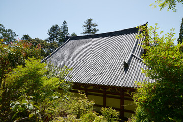 神護寺　金堂の屋根瓦　京都市右京区高雄