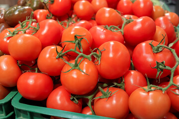 many ripe red tomatoes in container in grocery store