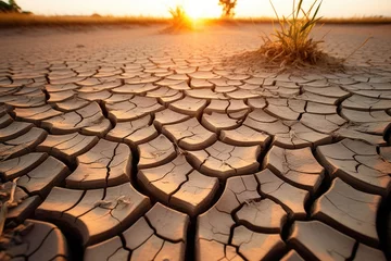 Rolgordijnen Dry cracked earth © Baba Images
