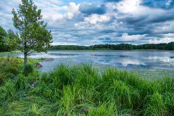 Fototapeta na wymiar Lake with grass in forground
