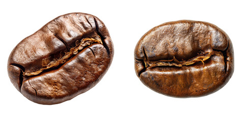 Roasted Coffee Bean Set Isolated on Transparent or White Background, PNG