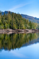 Reflection of trees in the water near Ketchikan, Alaska
