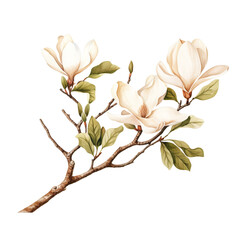 Magnolia flower branch watercolour generative AI - 744175058