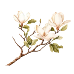 Foto op Canvas Magnolia flower branch watercolour generative AI © Everilda