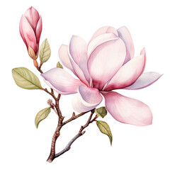 Magnolia flower branch watercolour generative AI - 744175059