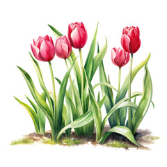 tulip flowers watercolour generative ai - 744175236
