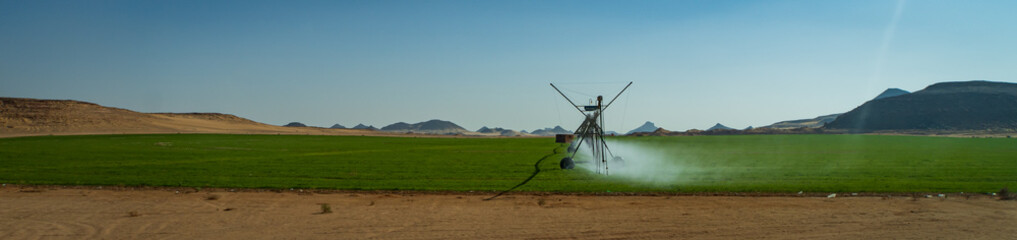 irrigating the desert from Lake  Nasser and the Nile River 
