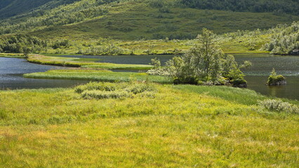 Lake Innerdalsvatnet in Innerdalen valley, Norway, Europe
