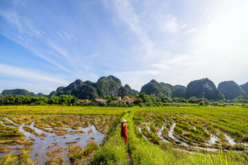 Woman at Vietnamese countryside - 744184208