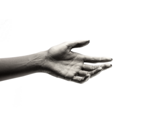 female hands in various colors close-up on cutout background
