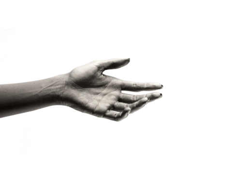 female hands in various colors close-up on cutout background