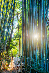 Woman in bamboo forest