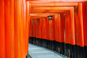 Fushimi Inari shrine in Kyoto - 744186672