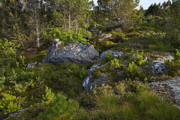 Naklejka na ściany i meble Landscape on the Kleppen peninsula at Kristiansund, Norway, Europe 
