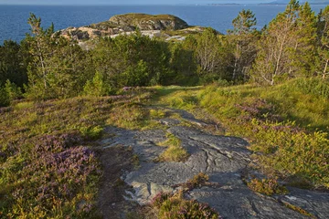 Photo sur Aluminium Europe du nord Landscape on the Kleppen peninsula at Kristiansund, Norway, Europe 