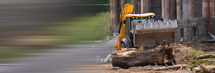 Excavator cleans up a tree in the city