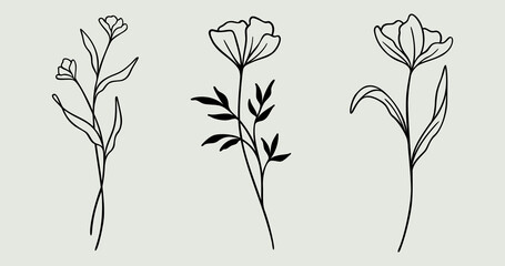 Flower Line Art Bundle | Botanical Wildflower Set Of 3 | Floral Vector Illustrations