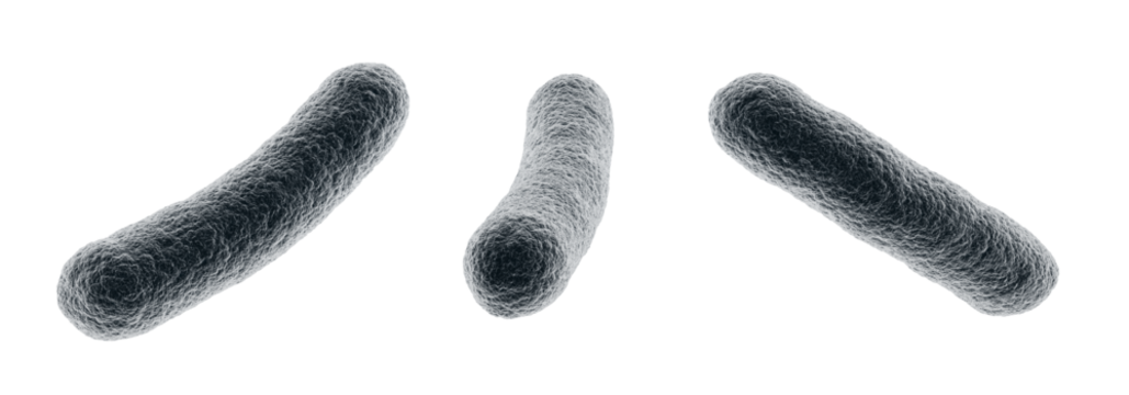 Bacteria. Bacterium. Blue color. Prokaryotic microorganisms. Isolated. Transparent background. 3d illustration.