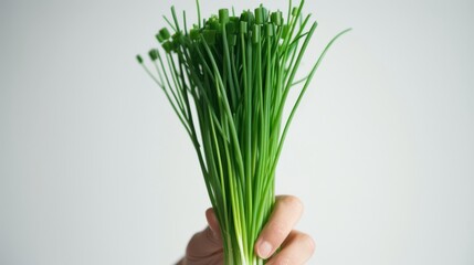 A vibrant hand cradles a bountiful bunch of fresh green onions, evoking the essence of nature's bounty and the crisp flavor of this versatile vegetable