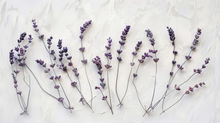 A tranquil field of delicate lavender blooms evokes a sense of calm and beauty amidst the sea of vibrant purple flowers