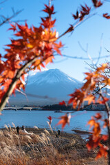 Mount Fuji beautiful view from Lake Kawaguchi in Japan during autumn season
