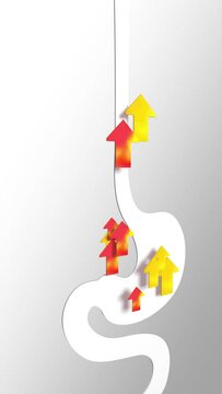 Vertical 3d animation of digestive system with flat fire arrows moving up. With gastric reflux and heartburn. Stomach and esophagus cut out on gray background.